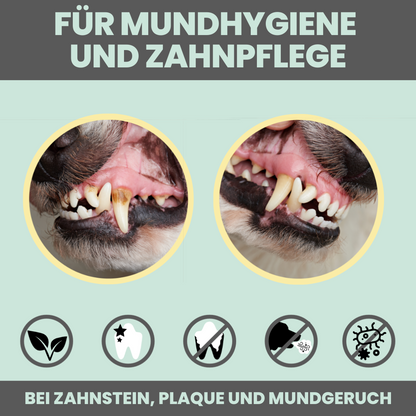 100ml Dentalspray bei Zahnstein für Hunde und Katzen [Jahresvorrat]