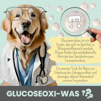 Enzymodent: Enzymatische Zahnpasta für Hunde mit natürlicher Pflege- und Präventionsformel