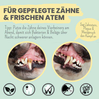 Enzymodent: Enzymatische Zahnpasta für Hunde mit natürlicher Pflege- und Präventionsformel