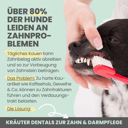 Kräuter Dentals für Hunde zur Zahn- und Darmpflege (150g)