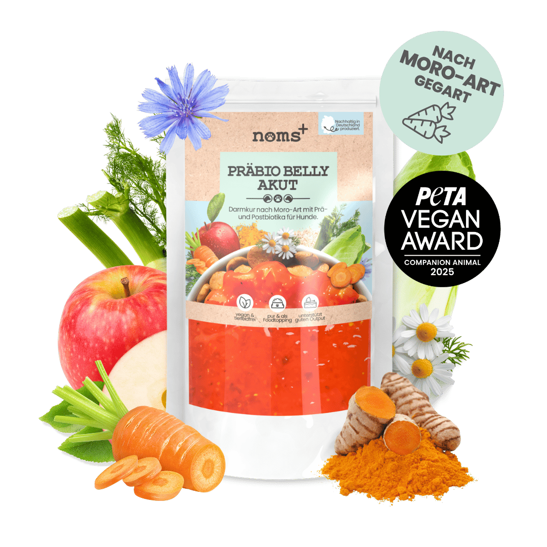 Präbio Belly Akut: pflanzenbasierte Darmkur für Hunde nach Moro-Art