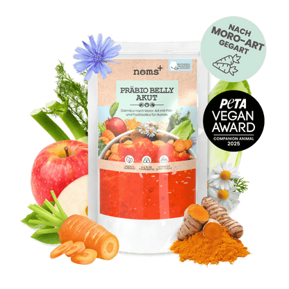 Präbio Belly Akut: pflanzenbasierte Darmkur für Hunde nach Moro-Art