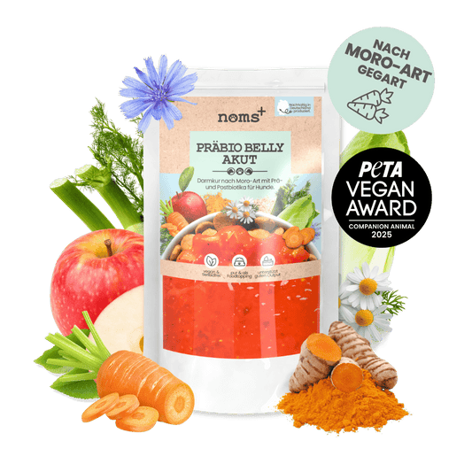 Präbio Belly Akut: pflanzenbasierte Darmkur für Hunde nach Moro-Art
