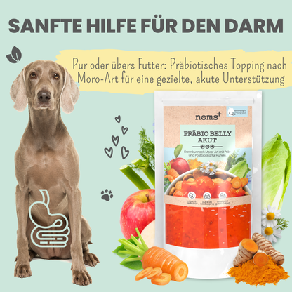 Präbio Belly Akut: pflanzenbasierte Darmkur für Hunde nach Moro-Art