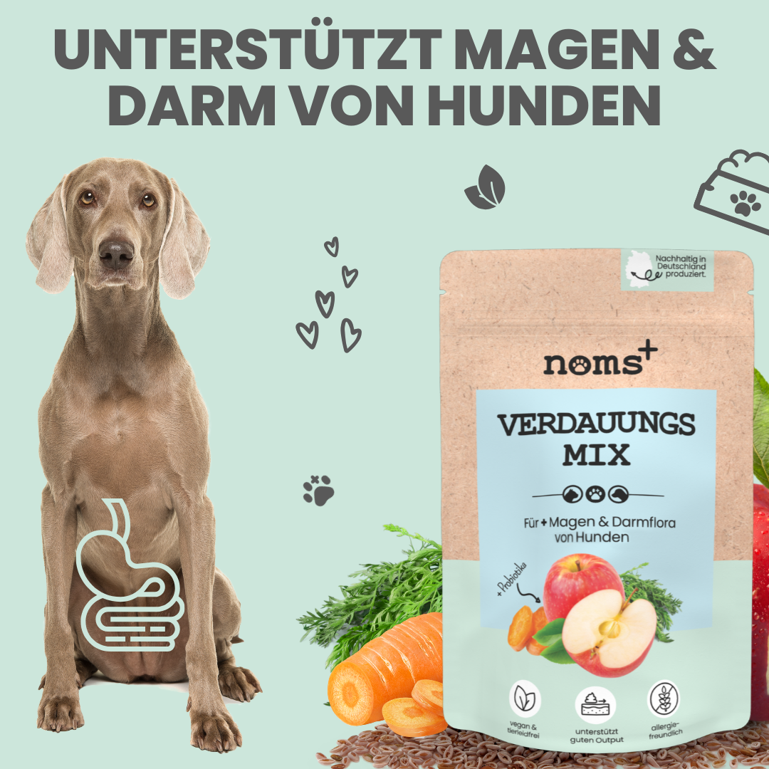 Verdauungsmix für Hunde als Probiotikum für Magen- & Darmflora