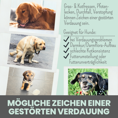 Verdauungsmix für Hunde als Probiotikum für Magen- & Darmflora
