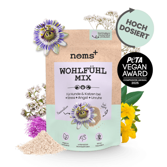 NOMS+ Wohlfühl Intensiv-Box – Mix & Tabs für die Silvesterzeit