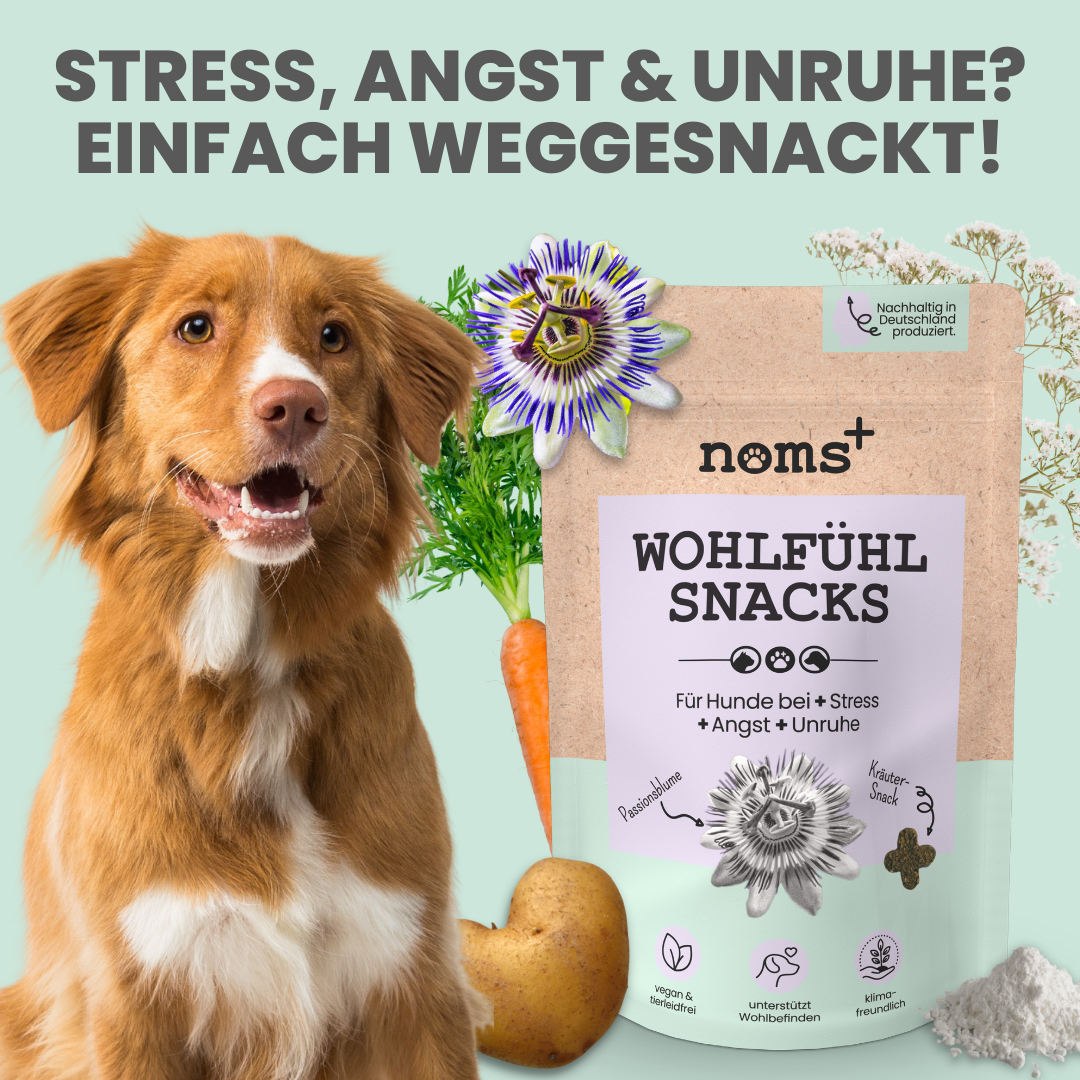 Wohlfühlsnacks für Hunde bei Stress, Angst, Unruhe & Hyperaktivität