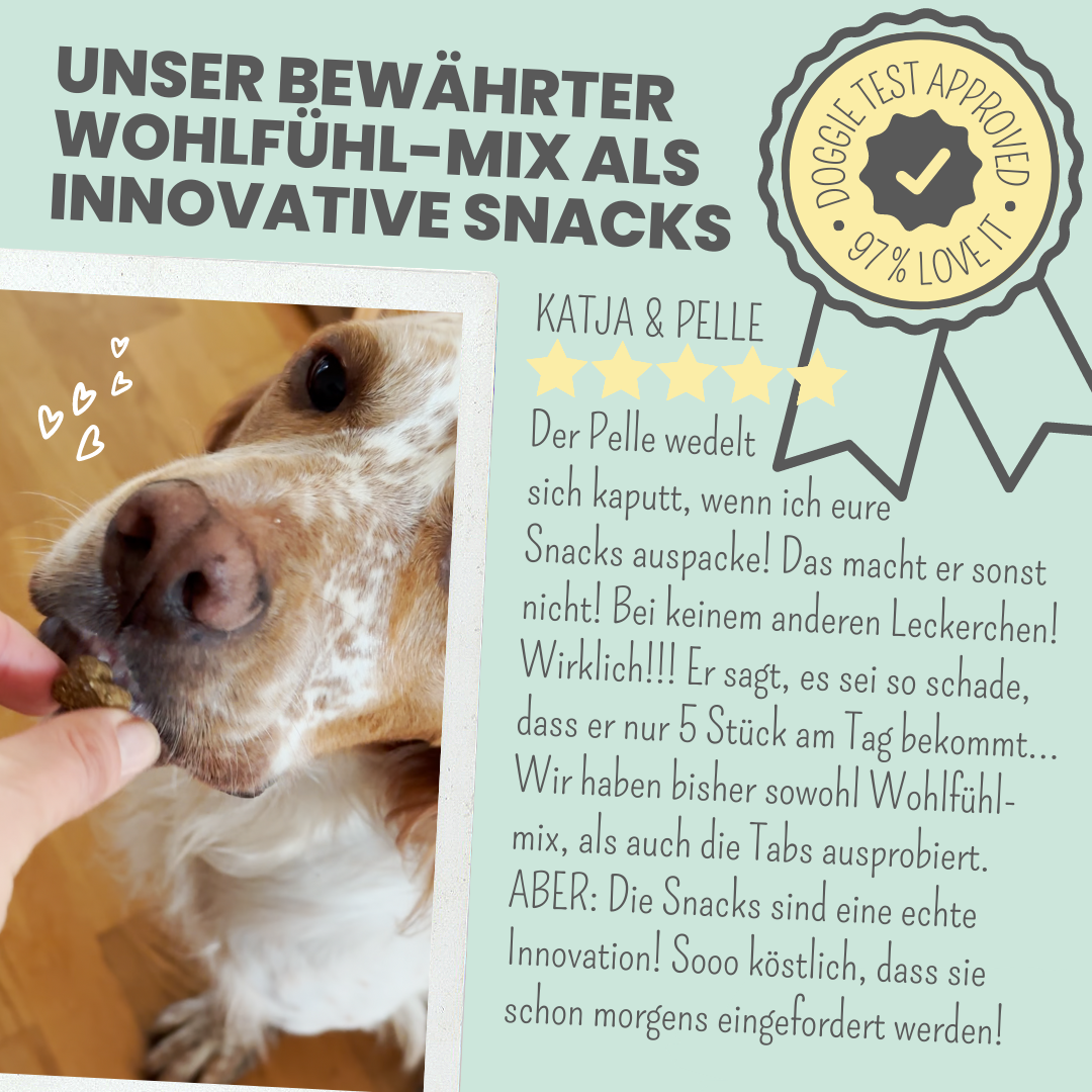 Wohlfühlsnacks für Hunde bei Stress, Angst, Unruhe & Hyperaktivität