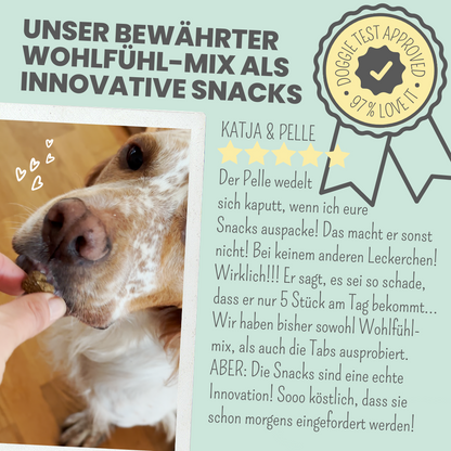 Wohlfühlsnacks für Hunde bei Stress, Angst, Unruhe & Hyperaktivität
