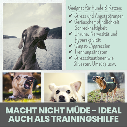 Wohlfühltabs für Hunde bei Stress, Angst, Unruhe und Hyperaktivität