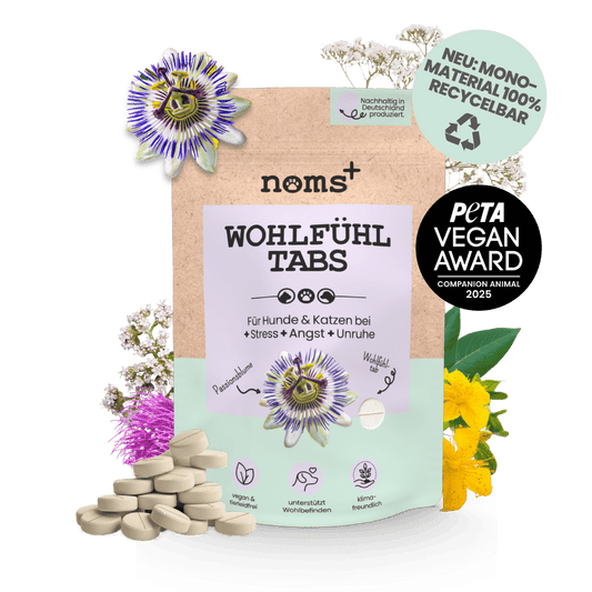 NOMS+ Wohlfühl-Tabs – Silvester-Box für sensible Hunde