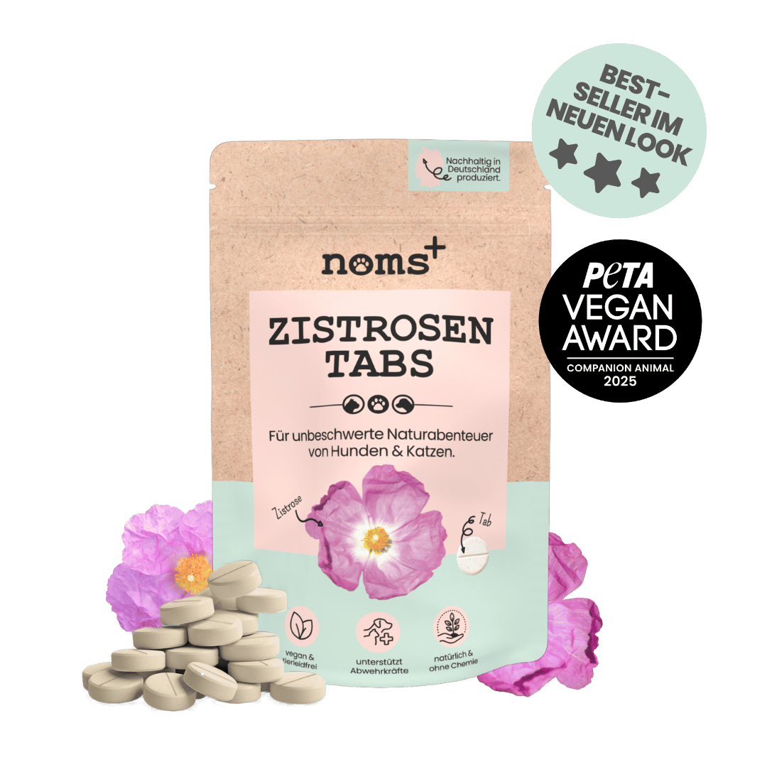 Zistrosen Tabs - 100% natürliches Zistrosen-Leckerli für Wald- & Wiesenspaziergänge