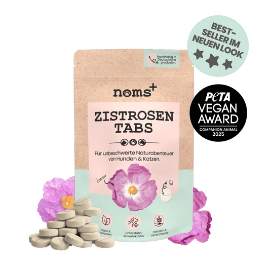 Zistrosen Tabs - 100% natürliches Zistrosen-Leckerli für Wald- & Wiesenspaziergänge