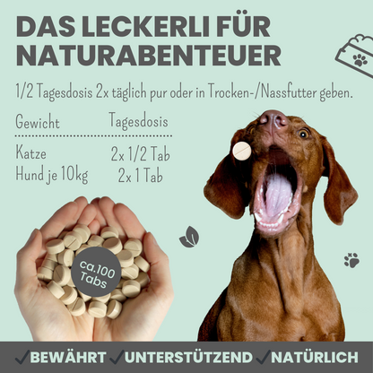 Zistrosen Tabs - 100% natürliches Zistrosen-Leckerli für Wald- & Wiesenspaziergänge