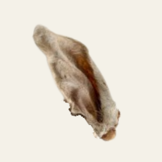 Reh-Ohren mit Fell für Hunde – natürlicher Kauartikel, besonders gut verträglich