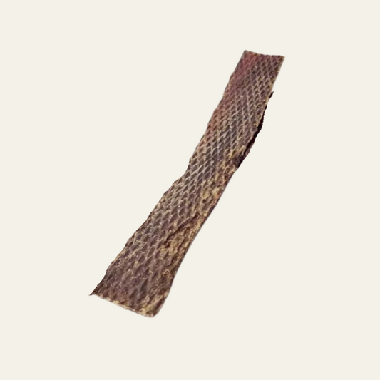 Rinder-Dörrfleisch flach (Schlundfleisch) ca. 30 cm – extra magerer Premium-Kausnack aus 100% Rind