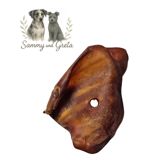 Schweineohr – der klassische Kausnack für Hunde