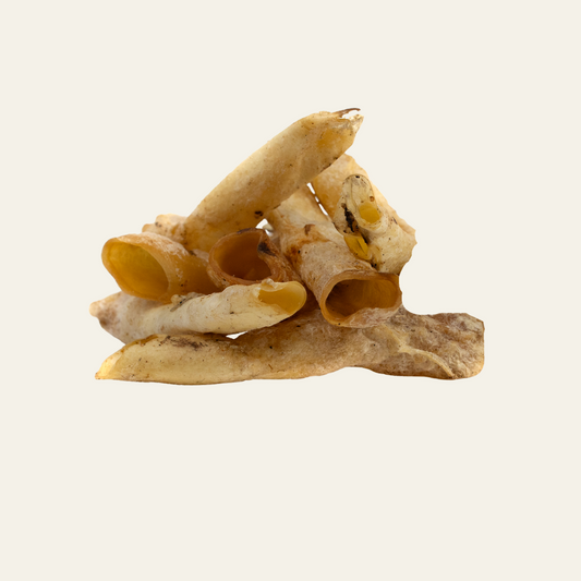 Straußen-Aorta – fettarmer Premium-Kausnack für sensible Hunde (geruchsarm)