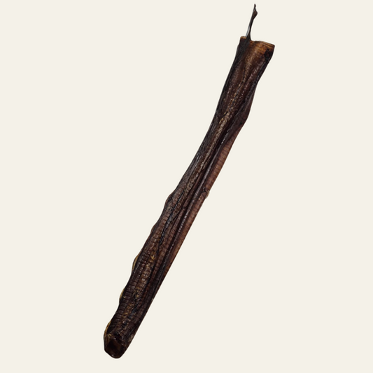 Straußen-Strossen (ca. 20–30 cm) einzeln– naturbelassen, schonend getrocknet