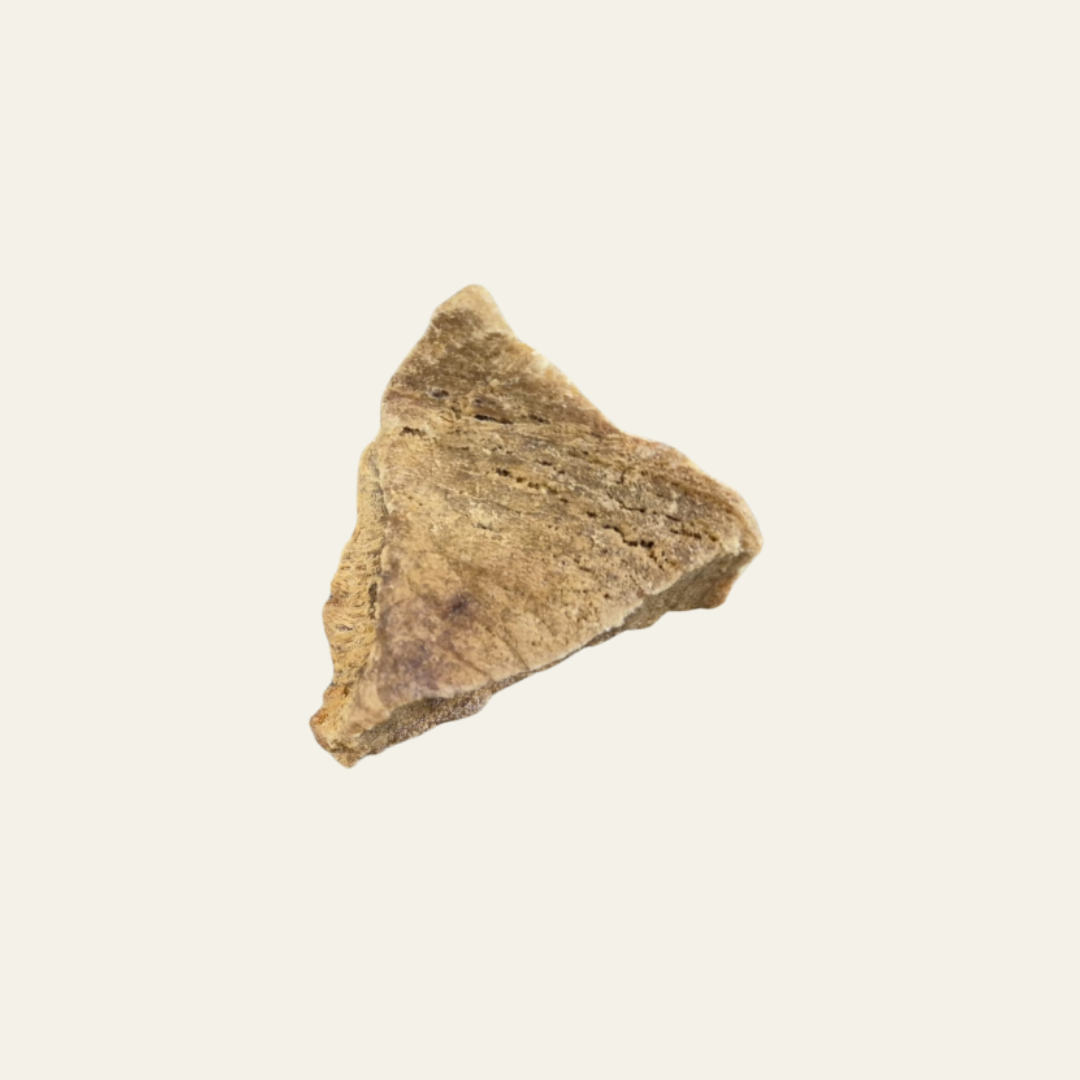 Thunfisch-Steak für Hunde - Natürlicher Omega-3-Snack - Sammy & Greta