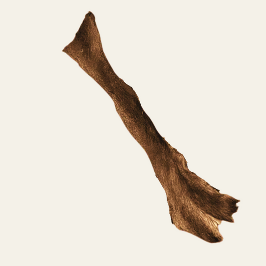 Rehhaut mit Fell – natürlicher Kau- und Beschäftigungssnack aus freier Wildbahn