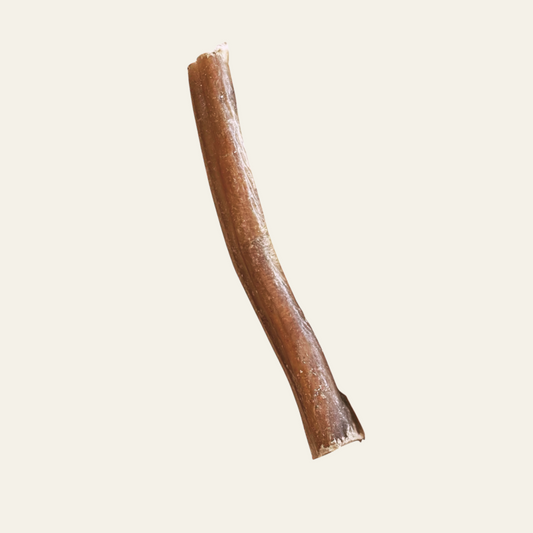 Kalbs-Ziemer – schonender Kauspaß für anspruchsvolle Hunde