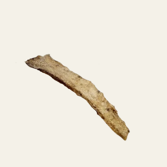 Straußenhautstreifen – natürlicher Kauspaß für empfindliche Hunde