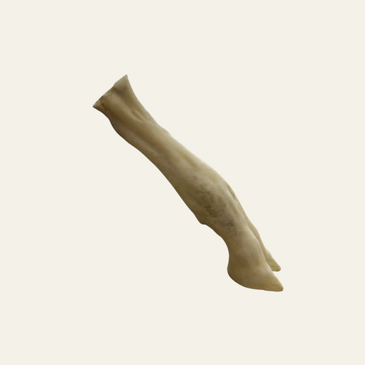 Getrocknete Lammbeine für Hunde