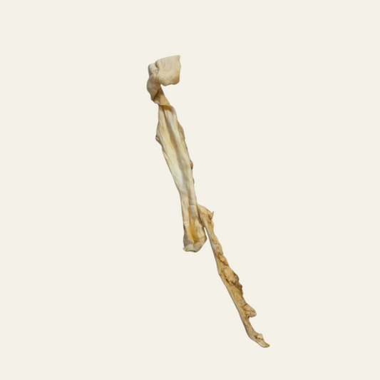 Ziegenhaut ca. 40 cm – gut verträglicher Naturkauartikel