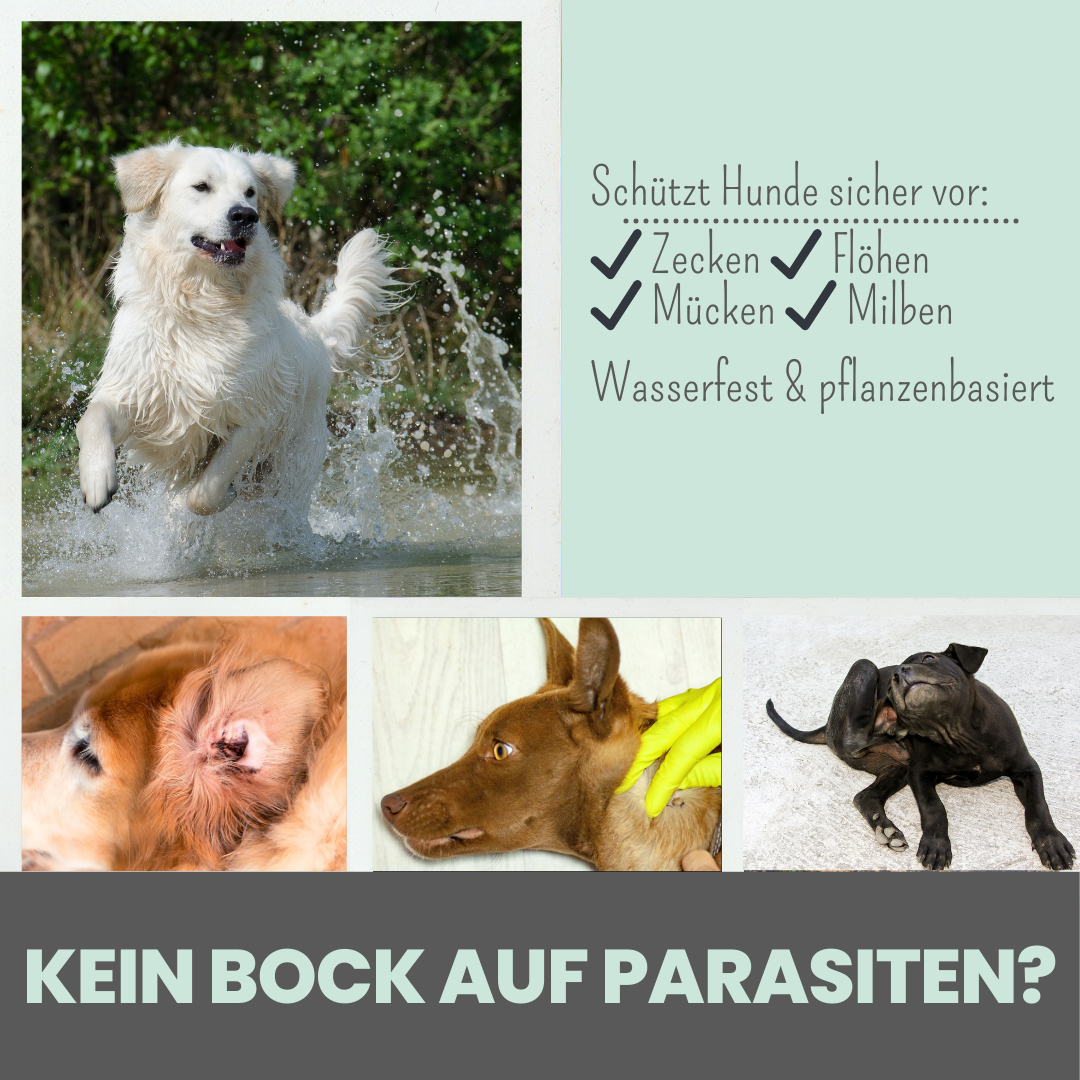 Wasserfestes Zpot-on für Hunde gegen Zecken, Flöhe, Milben & Mücken [Jahresvorrat]