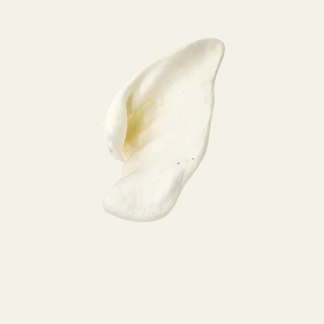 Honigohren vom Schwein – extra fettarm & geruchsarm