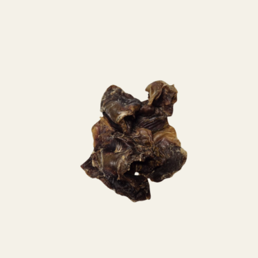 Getrocknete Hühnermägen – eiweißreiche Belohnung für Hunde und Katzen